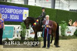24R13_03330 thumbnail
