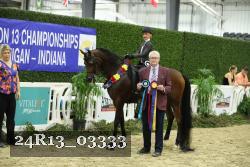 24R13_03333 thumbnail