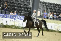 24R13_03334 thumbnail