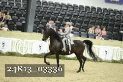 24R13_03336 thumbnail