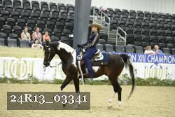 24R13_03341 thumbnail
