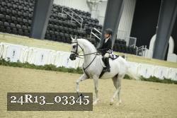24R13_03345 thumbnail