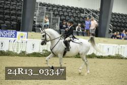 24R13_03347 thumbnail