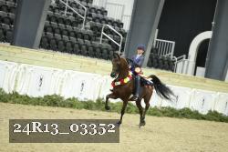 24R13_03352 thumbnail