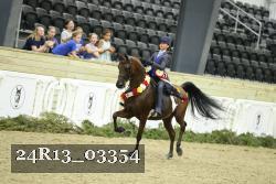 24R13_03354 thumbnail