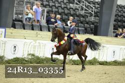 24R13_03355 thumbnail