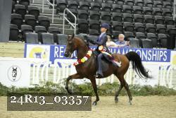 24R13_03357 thumbnail
