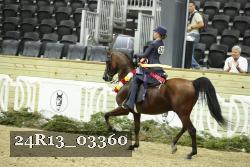 24R13_03360 thumbnail