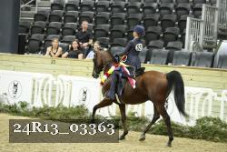 24R13_03363 thumbnail
