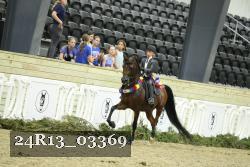 24R13_03369 thumbnail