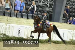 24R13_03370 thumbnail