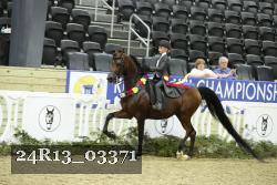 24R13_03371 thumbnail