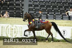 24R13_03374 thumbnail