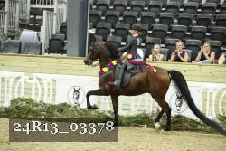 24R13_03378 thumbnail