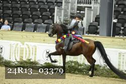 24R13_03379 thumbnail