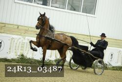 24R13_03487 thumbnail
