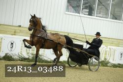 24R13_03488 thumbnail