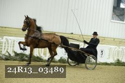 24R13_03489 thumbnail