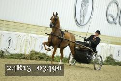 24R13_03490 thumbnail