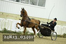 24R13_03491 thumbnail