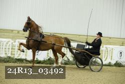 24R13_03492 thumbnail