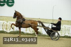 24R13_03493 thumbnail