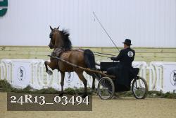 24R13_03494 thumbnail