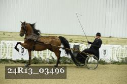 24R13_03496 thumbnail