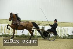 24R13_03497 thumbnail