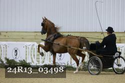 24R13_03498 thumbnail