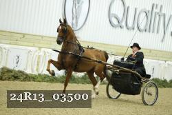 24R13_03500 thumbnail