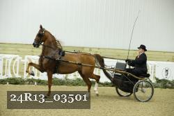 24R13_03501 thumbnail