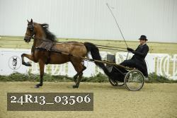 24R13_03506 thumbnail