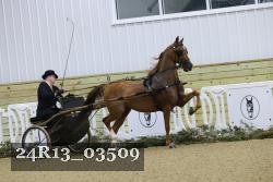 24R13_03509 thumbnail