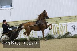 24R13_03510 thumbnail