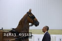 24R13_03513 thumbnail