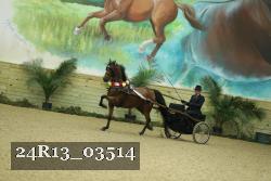 24R13_03514 thumbnail