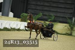 24R13_03515 thumbnail