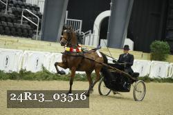 24R13_03516 thumbnail