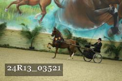 24R13_03521 thumbnail