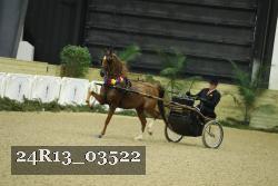 24R13_03522 thumbnail