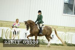 24R13_03539 thumbnail