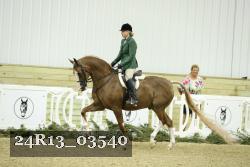 24R13_03540 thumbnail