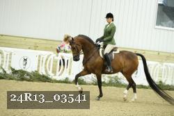 24R13_03541 thumbnail
