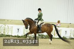24R13_03542 thumbnail
