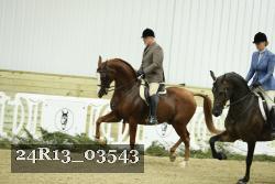24R13_03543 thumbnail