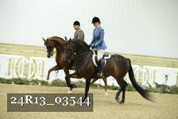 24R13_03544 thumbnail