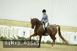 24R13_03545 thumbnail