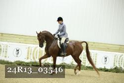 24R13_03546 thumbnail