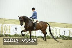 24R13_03547 thumbnail
